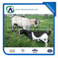 Golden Supplier Utility Panels/Welded Wire Livestock Panels